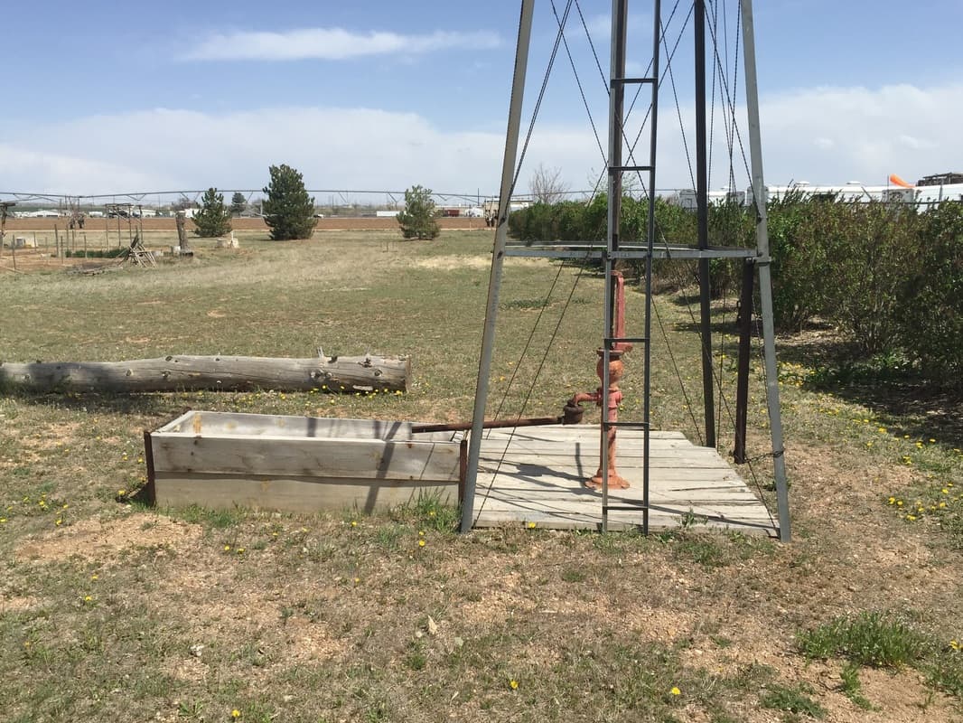 A red hand pump and wooden trough at the base of the windmill in a field of dandelions