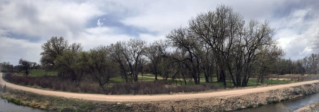 A dirt path along the irrigation canal, looking across to the cottonwoods of the rendezvous area