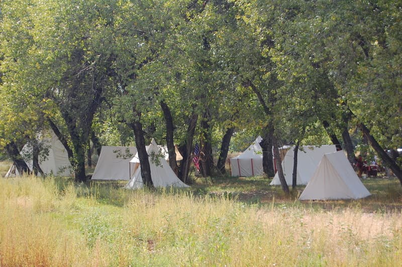 A camp of white tents under a cottonwood grove with tall grass in front